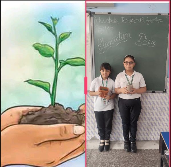 Plantation Drive